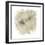 Feline Illustration I-Amy Melious-Framed Art Print