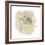 Feline Illustration II-Amy Melious-Framed Art Print