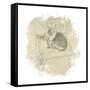 Feline Illustration II-Amy Melious-Framed Stretched Canvas