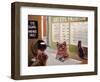 Feline Optical-Lucia Heffernan-Framed Art Print