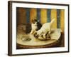 Feline Reflections-Marie Yvonne Laur-Framed Giclee Print