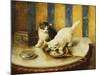 Feline Reflections-Marie Yvonne Laur-Mounted Giclee Print