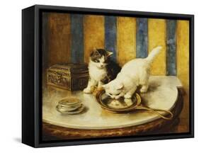 Feline Reflections-Marie Yvonne Laur-Framed Stretched Canvas