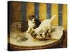 Feline Reflections-Marie Yvonne Laur-Stretched Canvas