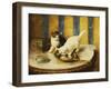 Feline Reflections-Marie Yvonne Laur-Framed Giclee Print