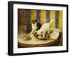 Feline Reflections-Marie Yvonne Laur-Framed Giclee Print