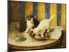 Feline Reflections-Marie Yvonne Laur-Mounted Giclee Print