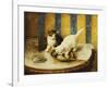 Feline Reflections-Marie Yvonne Laur-Framed Giclee Print