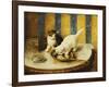 Feline Reflections-Marie Yvonne Laur-Framed Giclee Print