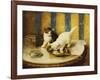 Feline Reflections-Marie Yvonne Laur-Framed Giclee Print