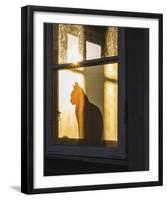 Feline Silhouette-Mikael Svensson-Framed Giclee Print