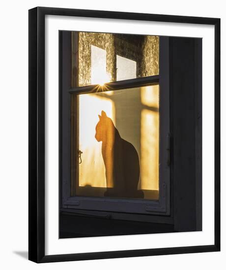 Feline Silhouette-Mikael Svensson-Framed Giclee Print