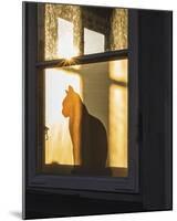 Feline Silhouette-Mikael Svensson-Mounted Giclee Print