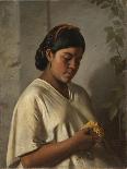 Indian Woman with Marigold,1876-Felipe Santiago Gutierrez-Giclee Print
