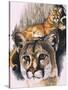 Felis Concolor Cory-Barbara Keith-Stretched Canvas