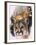 Felis Concolor Cory-Barbara Keith-Framed Giclee Print