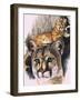 Felis Concolor Cory-Barbara Keith-Framed Giclee Print