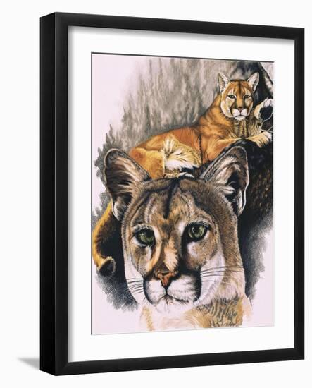 Felis Concolor Cory-Barbara Keith-Framed Giclee Print