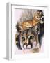 Felis Concolor Cory-Barbara Keith-Framed Giclee Print