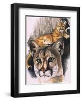 Felis Concolor Cory-Barbara Keith-Framed Premium Giclee Print