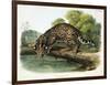 Felis Pardalis (Ocelot or Leopard-Cat), Plate 86 from 'Quadrupeds of North America', Engraved by…-John Woodhouse Audubon-Framed Giclee Print