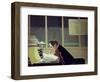 Felix Feneon-Félix Vallotton-Framed Premium Giclee Print