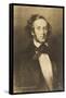 Felix Mendelssohn the German Composer-null-Framed Stretched Canvas