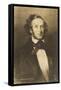 Felix Mendelssohn the German Composer-null-Framed Stretched Canvas