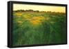 Felix Vallotton Field of Green Oats Art Print Poster-null-Framed Poster