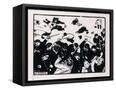 Canvas Black