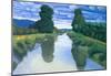 Felix Vallotton The River at Berville Art Print Poster-null-Mounted Poster