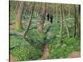 Stretched Canvas