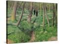 Stretched Canvas