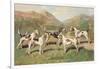 Fell Foxhounds-Thomas Ivester Llyod-Framed Art Print