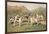 Fell Foxhounds-Thomas Ivester Llyod-Framed Art Print