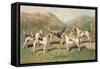 Fell Foxhounds-Thomas Ivester Llyod-Framed Stretched Canvas