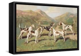 Fell Foxhounds-Thomas Ivester Llyod-Framed Stretched Canvas