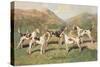 Fell Foxhounds-Thomas Ivester Llyod-Stretched Canvas
