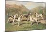 Fell Foxhounds-Thomas Ivester Llyod-Mounted Art Print