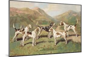 Fell Foxhounds-Thomas Ivester Llyod-Mounted Art Print