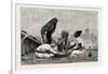 Fellaheen at Meals, Egypt, 1879-null-Framed Giclee Print