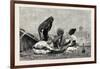 Fellaheen at Meals, Egypt, 1879-null-Framed Giclee Print