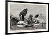 Fellaheen at Meals, Egypt, 1879-null-Framed Giclee Print