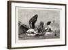 Fellaheen at Meals, Egypt, 1879-null-Framed Giclee Print