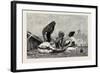 Fellaheen at Meals, Egypt, 1879-null-Framed Giclee Print