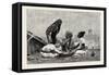 Fellaheen at Meals, Egypt, 1879-null-Framed Stretched Canvas