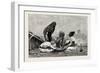 Fellaheen at Meals, Egypt, 1879-null-Framed Giclee Print