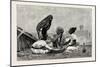 Fellaheen at Meals, Egypt, 1879-null-Mounted Giclee Print