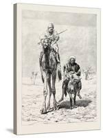 Fellaheen Riding to Market, Egypt, 1879-null-Stretched Canvas