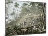 Felling of a Forest, Brazil-Johann Moritz Rugendas-Mounted Giclee Print